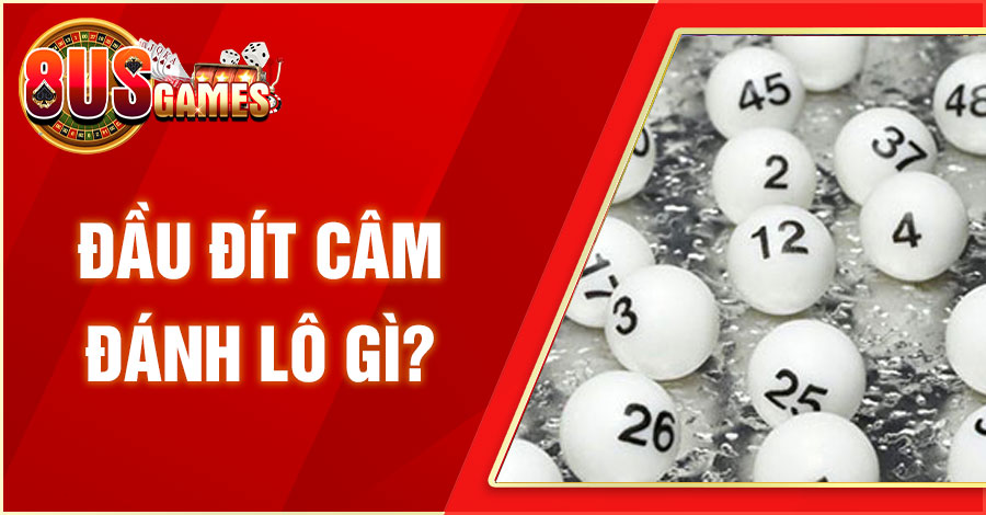 Đầu Đít Câm Đánh Lô Gì? Bí Kíp Đánh Lô Chuẩn Trúng Lớn 3 8US.VN dau dit cam danh lo gi 8US.VN